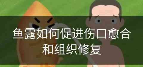 鱼露如何促进伤口愈合和组织修复